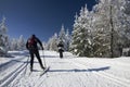 People on cross-country ski tracks Royalty Free Stock Photo