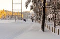 People cross country skiing through a snow covered forest Royalty Free Stock Photo