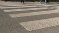 People cross road by zebra crossing in sunny autumn day