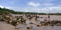 People crowd around Narmada river bank