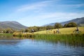 Lake Crackenback Cycling in Australia