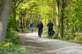 People cycling through forest near Laarder Wasmeer, Goois Nature Reserve, Hilversum, Netherlands
