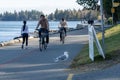 People cycling, jogging and walking in Stanley Park Seawall.
