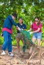 Khao Lak, Thailand, 1 june 2019: People of different nationalities cleaning garbage on the black beach to clean the beach in the