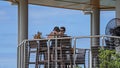 People Dining At Outdoor Oceanside Restaurant Royalty Free Stock Photo