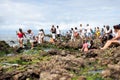 People of diverse ages and genders sitting on a rocky beach