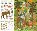 People and dog go to forest for mushrooms. Find all animals in picture. Find 10 hidden objects Royalty Free Stock Photo