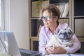 People and dog love friendship together - adult pretty young woman work at laptop computer and hug her adorable pug - happy female Royalty Free Stock Photo