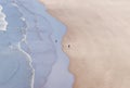 People with dog walking on the sandy beach on windy wavy day on Royalty Free Stock Photo