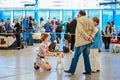 People and dogs visit exhibition -International dog show, import Royalty Free Stock Photo