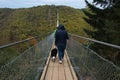 People and dogs walk on the Geierlay Suspension Bridge