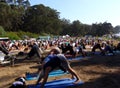 People doing downward facing dog posing during yoga class outdoor