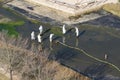 People doing environmental maintenance work in La Marjal Park, Alicante, Spain