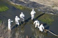 People doing environmental maintenance work in La Marjal Park, Alicante, Spain