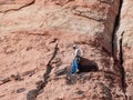 People doing rock climbing sports
