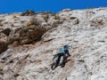 People doing rock climbing sports