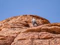 People doing rock climbing sports