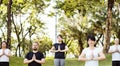 People doing yoga at the park Royalty Free Stock Photo