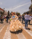 People with a dress made of corn leaves in the traditional festival of the San Isidro walk in Metepec, State of Mexico, Mexico