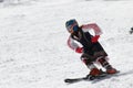 People dressed with traditional Bulgarian clothes skiing with the Bulgarian national flag. Royalty Free Stock Photo