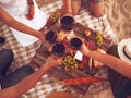 People drinking red wine outdoor. Summer picnic