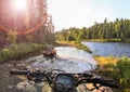 People driving ATV quads through water. Lake in Ontario, Canada. Royalty Free Stock Photo