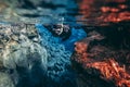 People snorkeling and diving in Blue crystal clear glacial water in Silfra Thingvellir national park Iceland