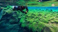 People snorkeling and diving in Blue crystal clear glacial water in Silfra Thingvellir national park Iceland