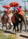 Elephant riding in Asia, Thailand