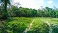 Elephant safari in Chitwan National Park, Nepal Royalty Free Stock Photo