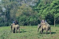 People on an elephant safari at Chitwan national park in Nepal Royalty Free Stock Photo