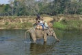 People on an elephant safari at Chitwan national park in Nepal Royalty Free Stock Photo