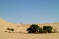 People enjoy the activities around the small oasis on the immense sand dunes of Huacachina desert, Ica region, Peru