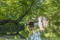 people enjoy a boat trip on a green canal in Colmar