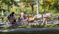 People enjoy carriage ride in Central Park Royalty Free Stock Photo