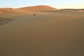 People enjoy dune buggy on the immense desert of Huacachina, Ica, Peru, South America