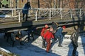 People enjoy ice skating on frozen river in Monnickendam Royalty Free Stock Photo