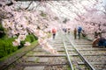 People enjoy spring season at Keage incline with sakura cherry blossoms in Kyoto, Japan. Japan tourism, nature life, or