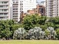 People enjoy for their leisure in the People's Park (Parque do Povo)