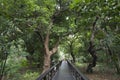 Botanical garden boardwalk trail Taipei taiwan