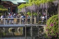Tokyo, Japan May 3 ,2019 : people are enjoyed watching fuji flowers festival in tokyo