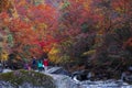 People enjoying autumnal forest Royalty Free Stock Photo