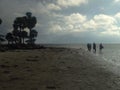 People enjoying the beach