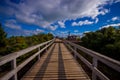 People enjoying the beautiful view from top in the mountain in Rangitoto Island wlaking in wooden paths, New Zealand in