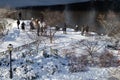 People Enjoying a Beautiful Winter Day at Central Park with Snow in New York City along the Pond Royalty Free Stock Photo