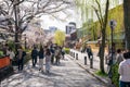 People enjoying cherry blossoms along the Gion Shirakawa River street. Kyoto, Japan. Royalty Free Stock Photo