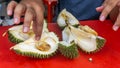 People enjoying eating Durian, the King of Fruits using hand