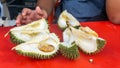 People enjoying eating Durian, the King of Fruits using hand