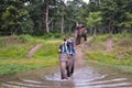 People enjoying Elephant Ride Royalty Free Stock Photo