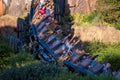 People enjoying Expedition Everest rollercoaster , Legend of the Forbidden Mountain in Animal Kingdom 2